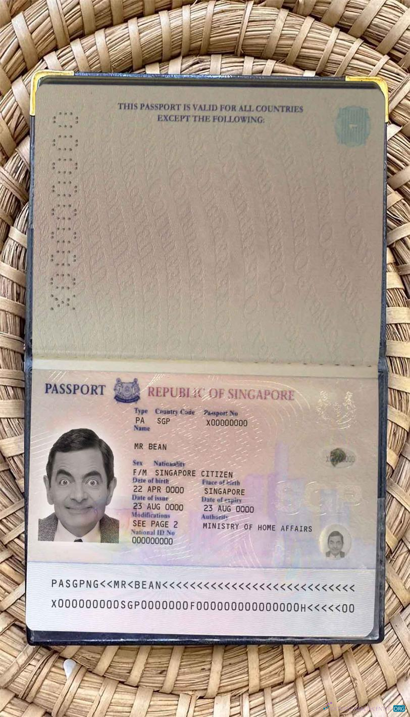 Download Singapore pass (2006 2017) photo look Photoshop template